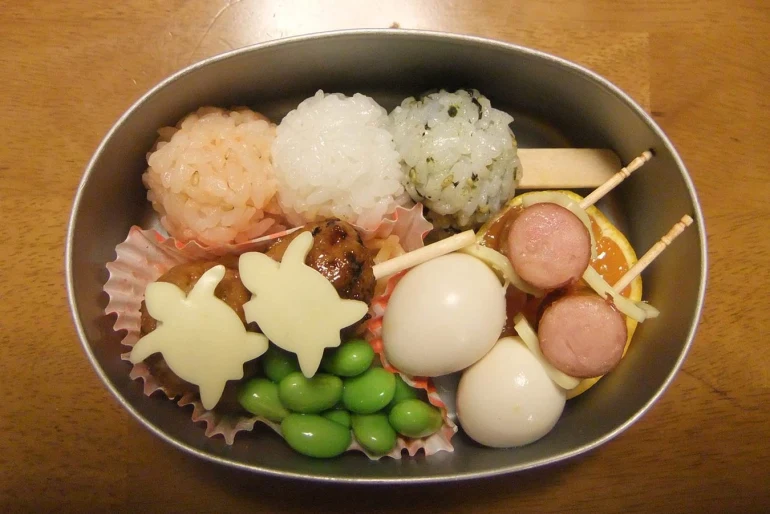 Guide pratique pour bien choisir sa boîte bento