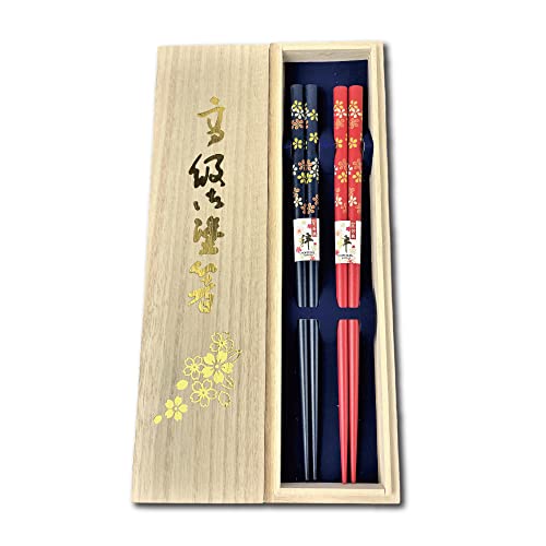Lot de 2 baguettes japonaises réutilisables de qualité supér